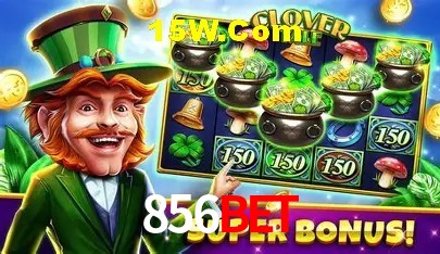 Experiência VIP 856Bet